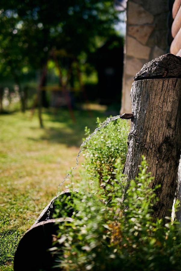 Country House Brijest Kolasin Bagian luar foto